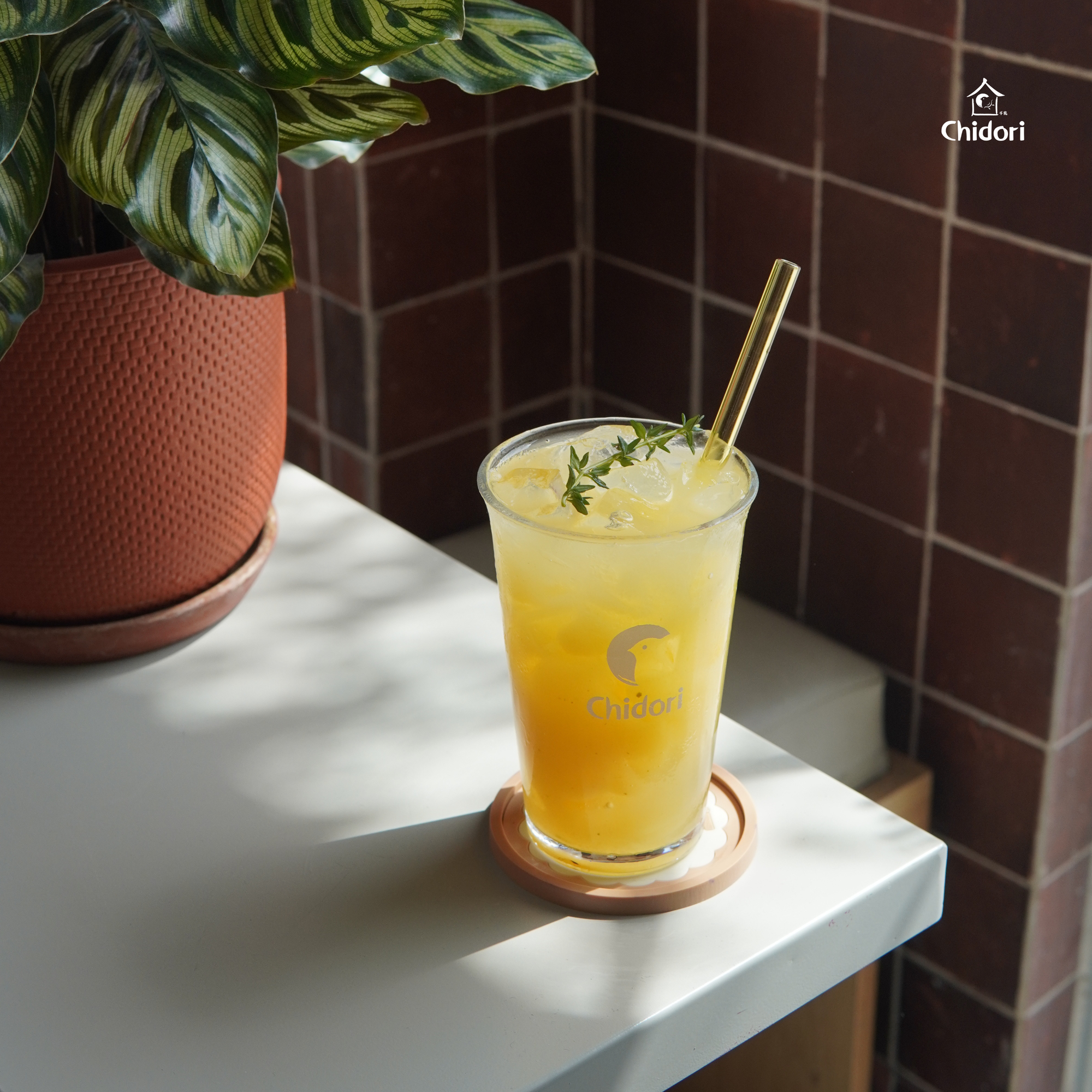 Sunday of Summer - Thức quà thiên nhiên từ nắng ấm cuối mùa hạ