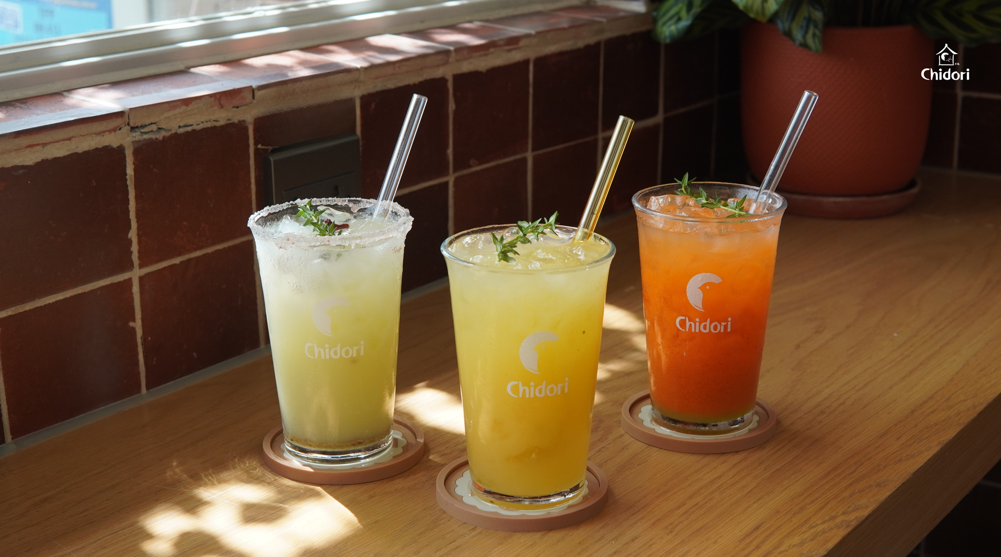 Sunday of Summer - Thức quà thiên nhiên từ nắng ấm cuối mùa hạ